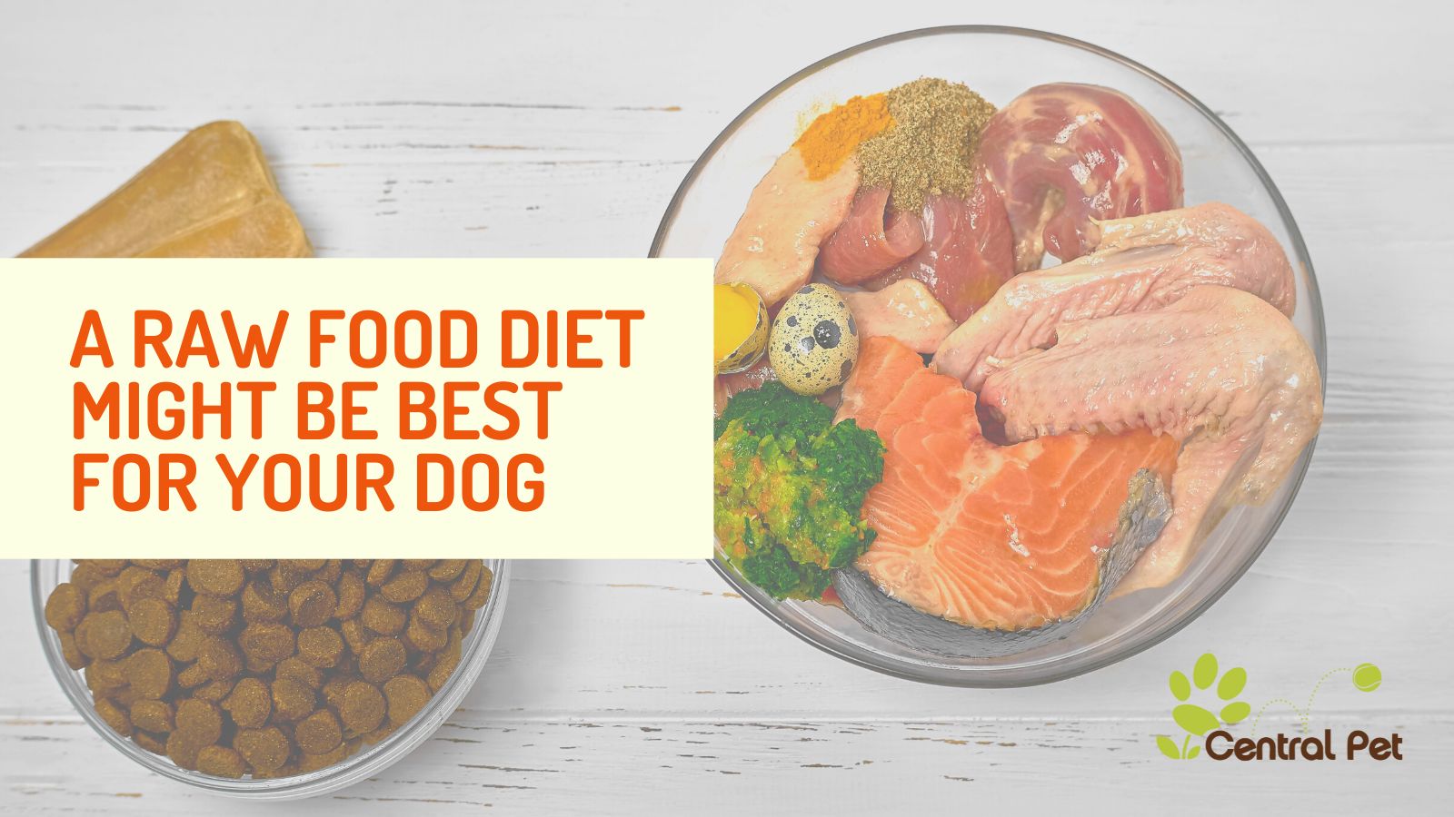 The best raw diet hotsell for dogs